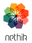 Logo Agence web Nethik 